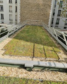 Toiture Végétalisée